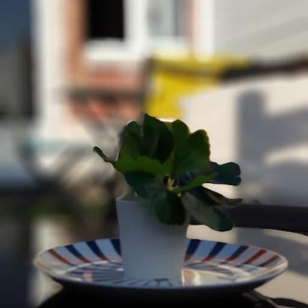 Le Chat Bleu - 26M2- Terrasse Sur Les Toits - Wi-Fi Amiens Kültér fotó